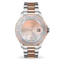 Orologio Ice Watch Donna in Acciaio 016769 M - 016769 M